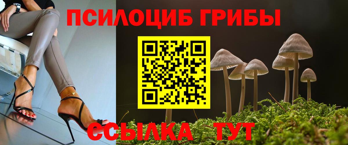 Галлюциногенные грибы мухоморы Грозный